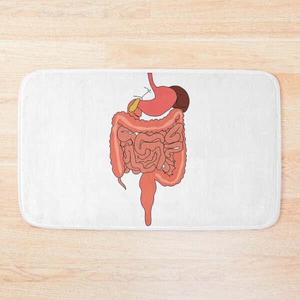 Item preview, human digestive system diagram poster | human digestive system diagram educational art  designed and sold by KARTICK DUTTA.
