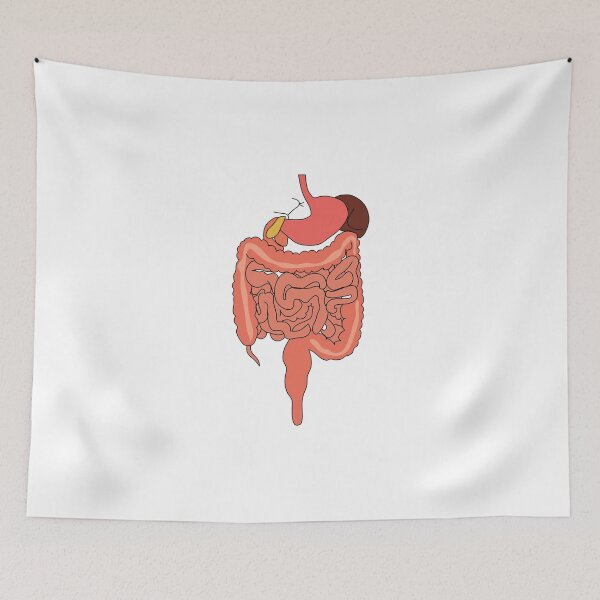 Item preview, human digestive system diagram poster | human digestive system diagram educational art  designed and sold by KARTICK DUTTA.