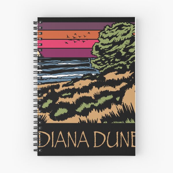 Item preview, Lakeview Sunset Indiana Dunes Poster designed and sold by indianadunes.