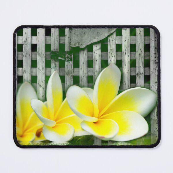 Item preview, Frangipani Floating designed and sold by Rainy.