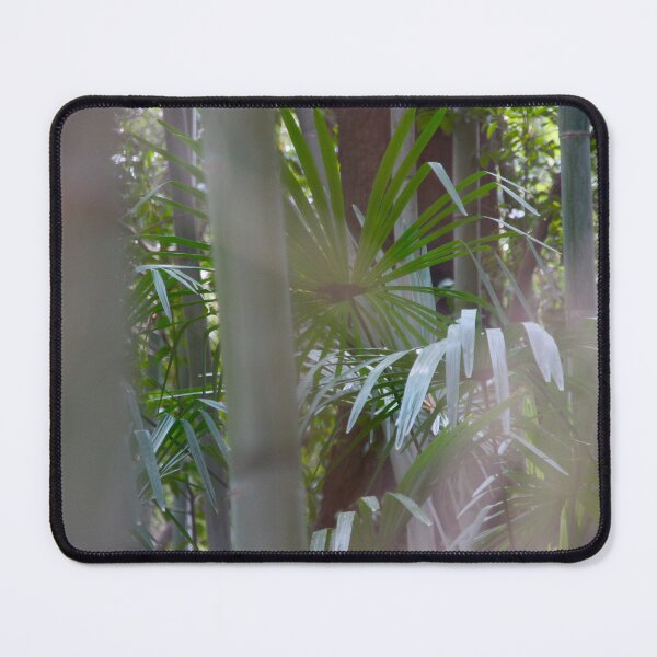 Item preview, Bamboo forest in Japan designed and sold by Travel Planet.