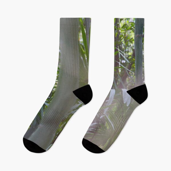 Item preview, Bamboo forest in Japan designed and sold by Travel Planet.