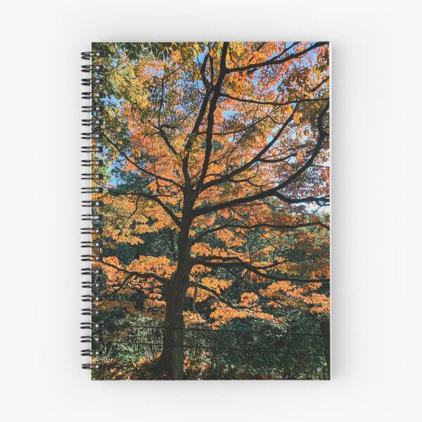 Item preview, Peak Fall Colors designed and sold by Awaters14.