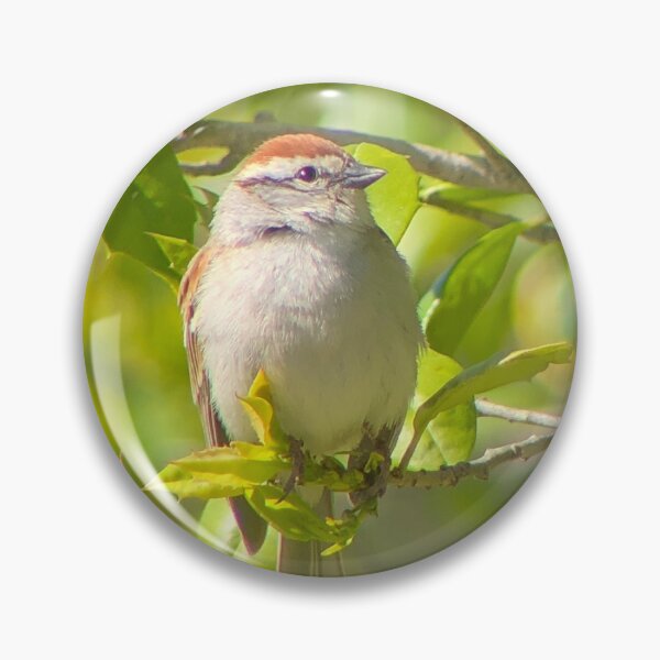 Item preview, Chipping Sparrow designed and sold by Storm Slaymaker.