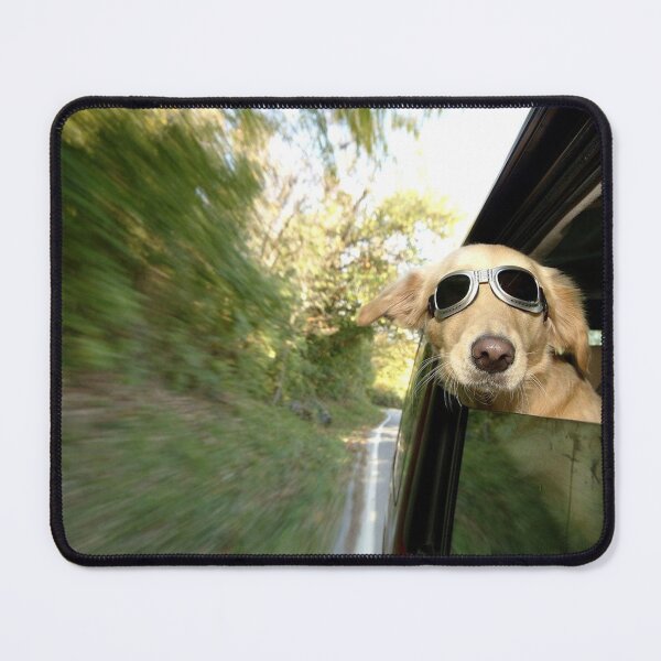 Item preview, Enjoying Life Crazy designed and sold by The-Lerach.