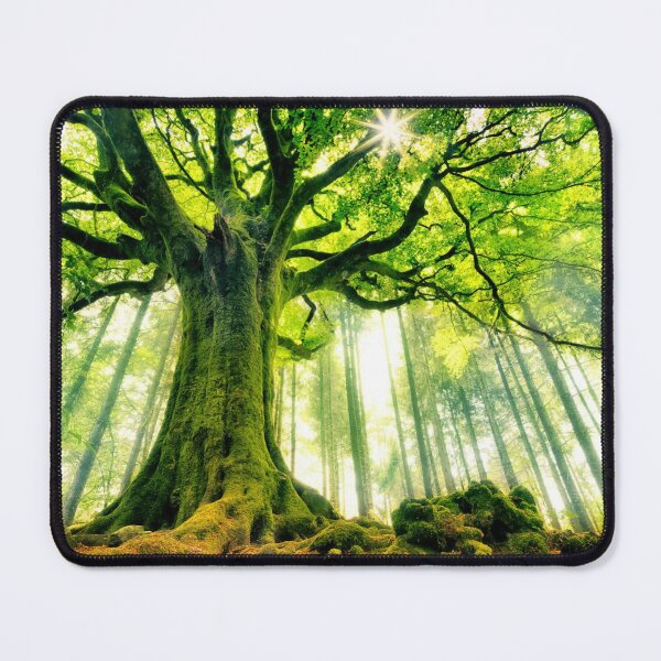 Item preview, Tree of Life in the middle of Sunny Forest designed and sold by BerryCats.