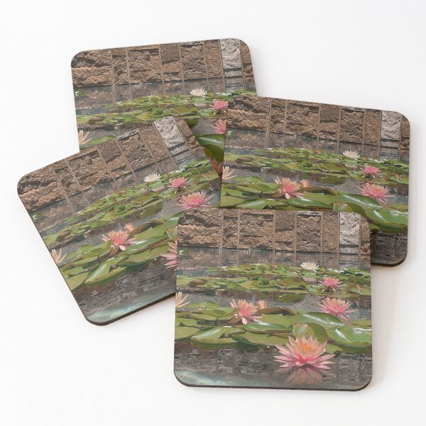Item preview, aesthetic water lily pond photograph designed and sold by DreamMonstera.