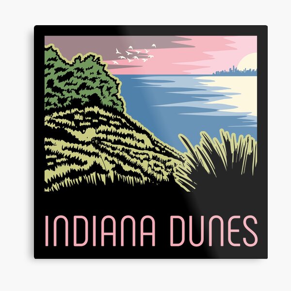Pink Sunset Indiana Dunes Poster Metal Print
