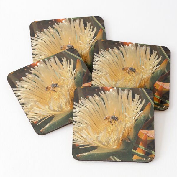 Item preview, Bee Pollinating an Ice Plant Flower designed and sold by DreamMonstera.