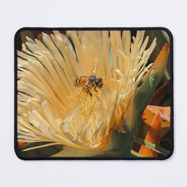 Item preview, Bee Pollinating an Ice Plant Flower designed and sold by DreamMonstera.