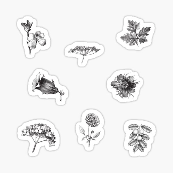 Artikel-Vorschau von Vintage schwarz und weiß botanische Pflanzen, designt und verkauft von silviaol.