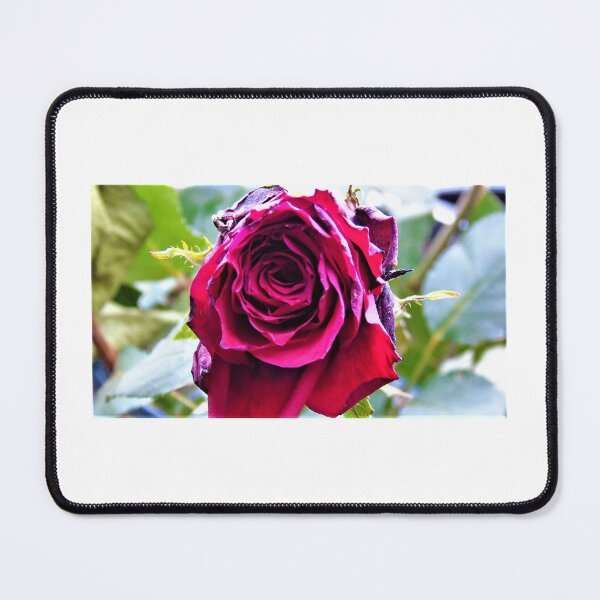 Item preview, The purple rose designed and sold by ART22.