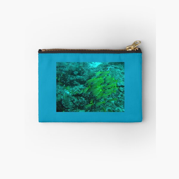 Item preview, Shoal of bluestripe snappers (Lutjanus kasmira) off Mafia, Tanzania. designed and sold by David JC.