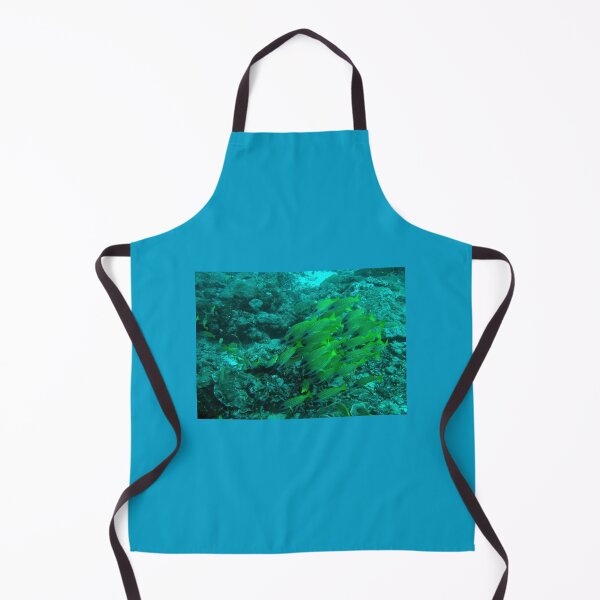 Item preview, Shoal of bluestripe snappers (Lutjanus kasmira) off Mafia, Tanzania. designed and sold by David JC.