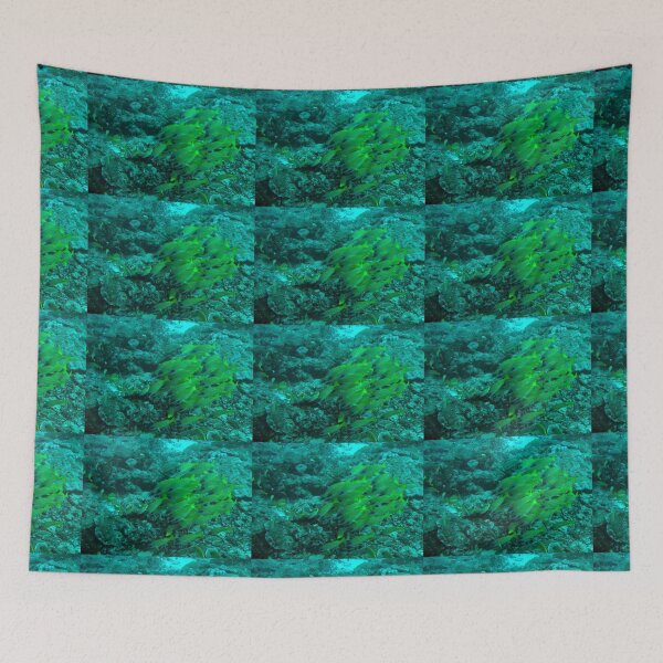 Item preview, Shoal of bluestripe snappers (Lutjanus kasmira) off Mafia, Tanzania. designed and sold by David JC.