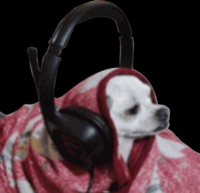 "Headphone dog meme" by los-memes | Redbubble