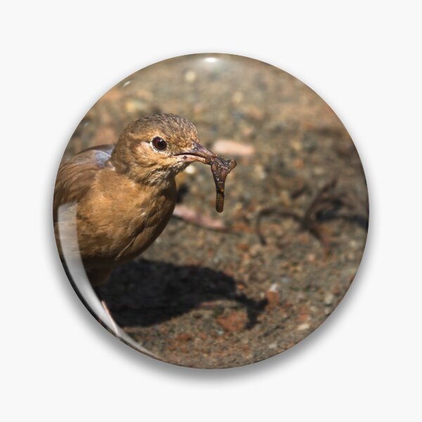 Item preview, earthworm in the beak. designed and sold by Nino rocha fotografia.