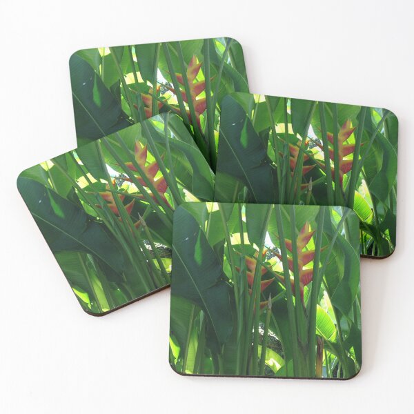 Item preview, Heliconia tropical flower in green designed and sold by Travel Planet.