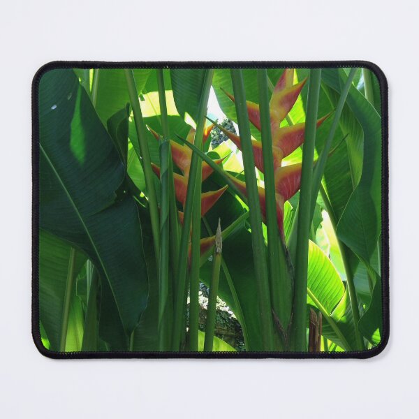 Item preview, Heliconia tropical flower in green designed and sold by Travel Planet.