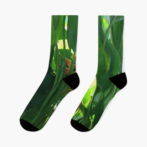 Item preview, Heliconia tropical flower in green designed and sold by Travel Planet.