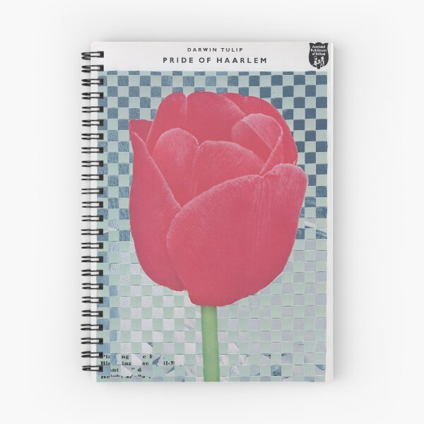 Item preview, pride of haarlem tulip designed and sold by JudyLeeGG.