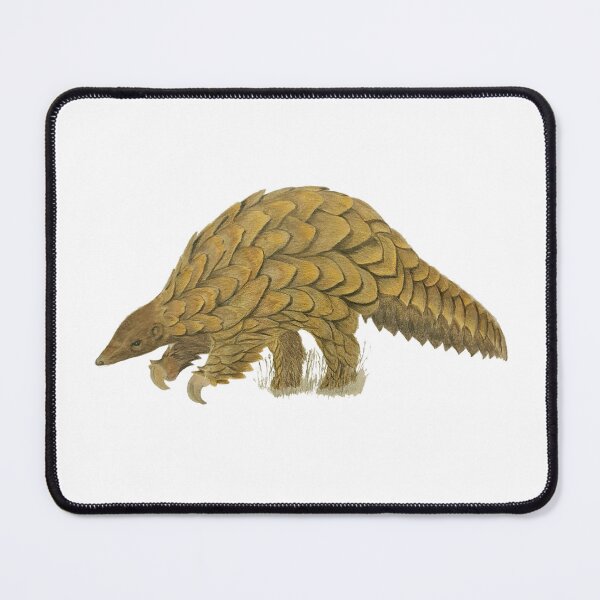 Item preview, Precious Pangolin designed and sold by ChrisAnimalArt.