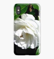 The timeless beauty of a white rose iPhone Case