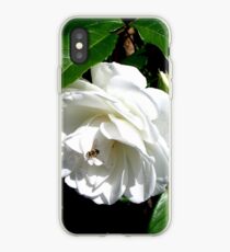The timeless beauty of a white rose iPhone Case