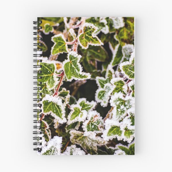 Item preview, Raindrops on Roses and Frost on the Ivy designed and sold by Bryan Spellman.