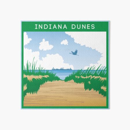Sandhill Crane Indiana Dunes Poster Art Board Print