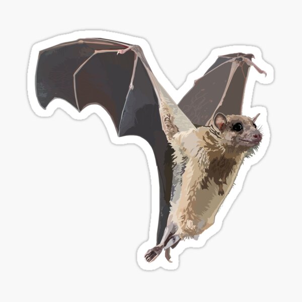 Item preview, Egyptian Fruit Bat designed and sold by mademat91.