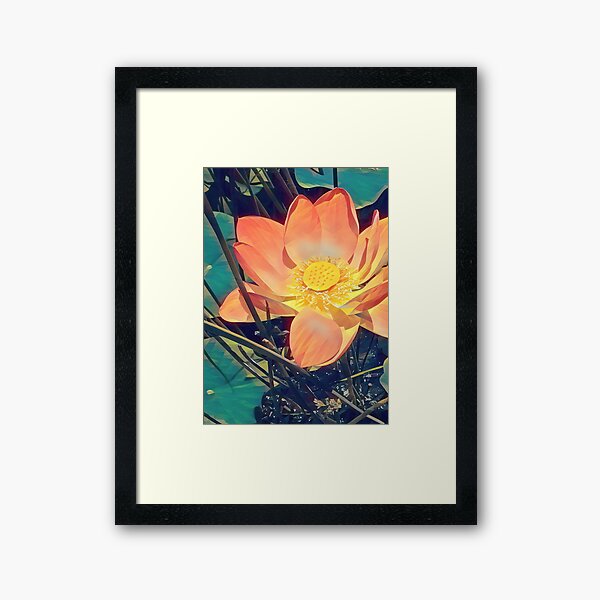 Aperçu de l'œuvre Lotus créée et vendue par squarecloud.