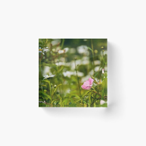 Item preview, Wild Flowers 2 designed and sold by Jill Bramley.
