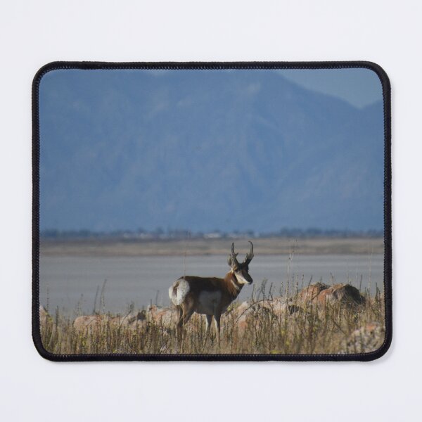 Item preview, True Wilderness designed and sold by Kim Pruim.