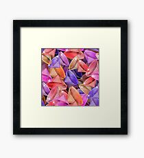 Placer precious stones gems . Framed Print
