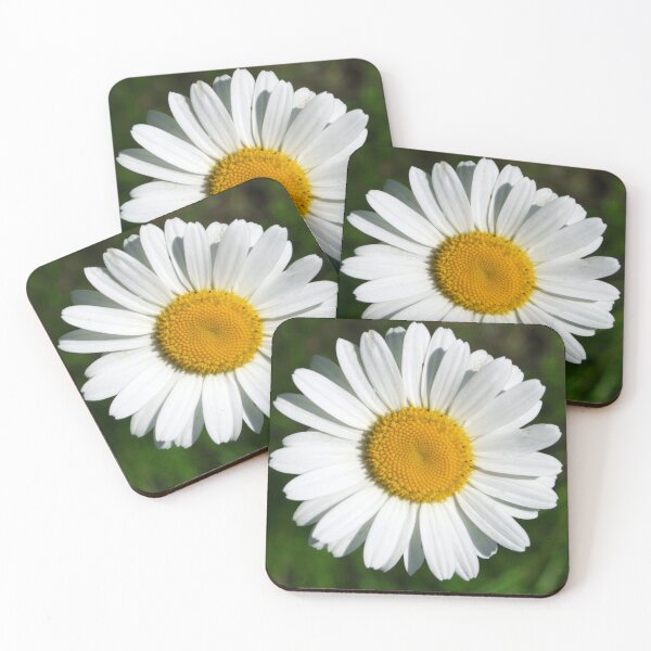 Item preview, Single White Daisy Flower Elegant Art Photo designed and sold by DEC02.