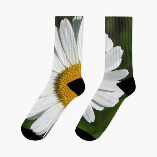 Item preview, Single White Daisy Flower Elegant Art Photo designed and sold by DEC02.