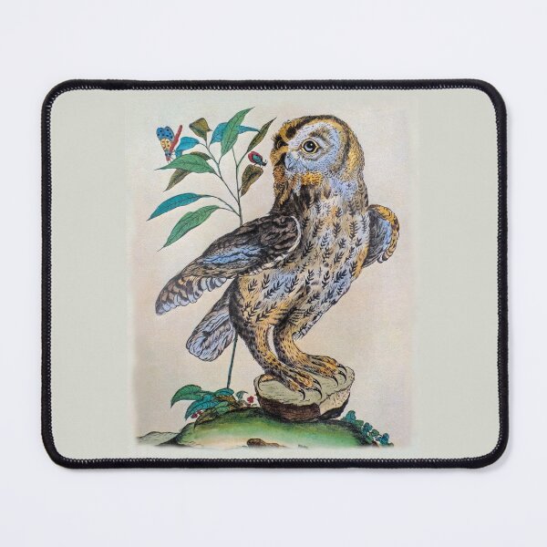 Item preview, Tawny Owl (Strix aluco) by Maddalena Bouchard (modified with photo filter) designed and sold by TheCurators.