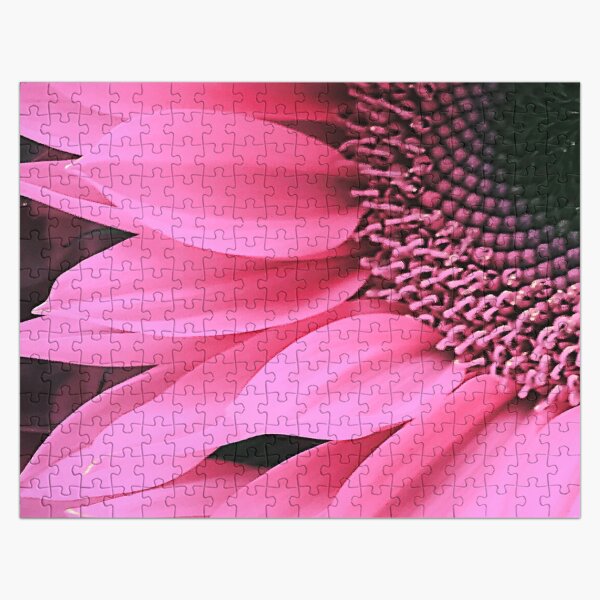 Artikel-Vorschau von Rosa Sonnenblume-Kunst-Makrokunst-Foto, designt und verkauft von DEC02.