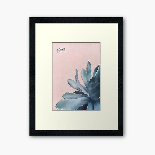 Framed Print