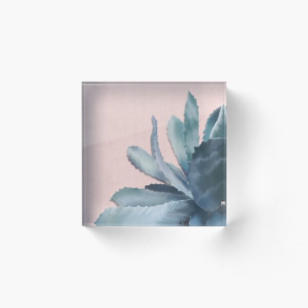 Acrylic Block
