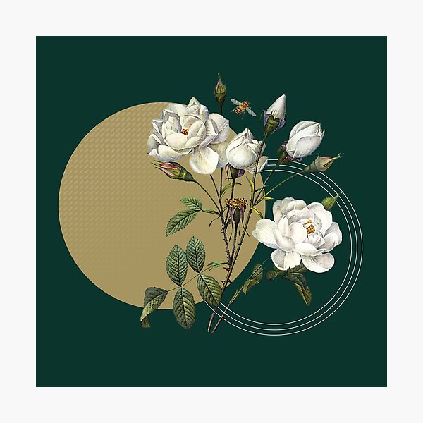 Winter Blooms Photographic Print