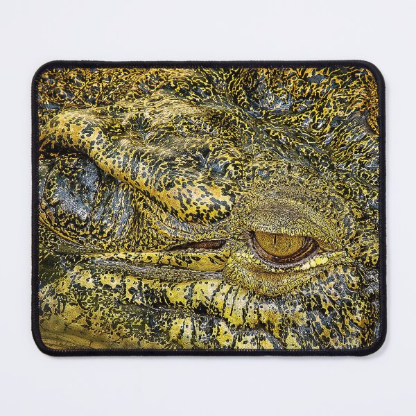 Item preview, Kahayan River Crocodile Photography, River Crocodile in Borneo designed and sold by Akbarudi.