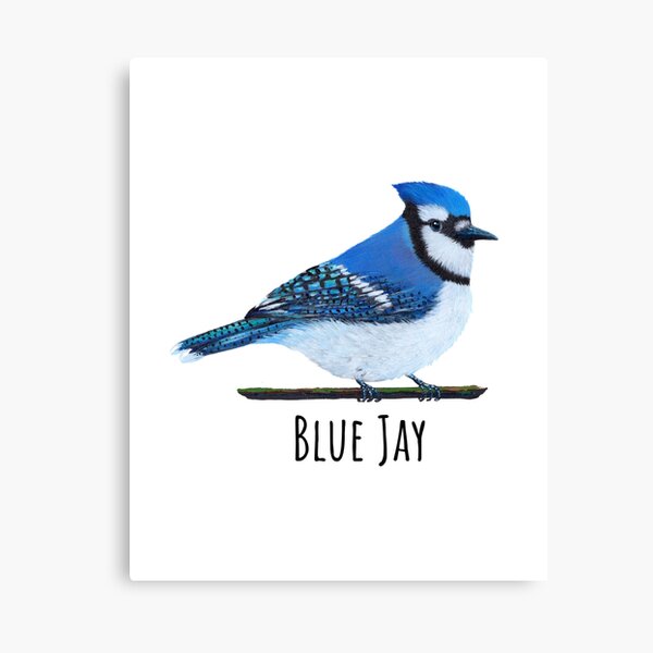 3D Printing - Blue Jay, Monarch, Goldfinch, Cardinal, Chic…