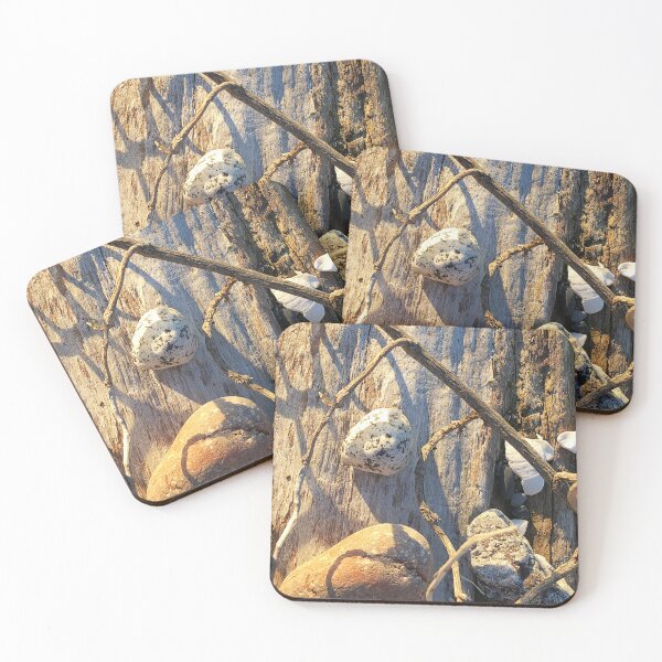 Item preview, Beach treasures designed and sold by Travelways.