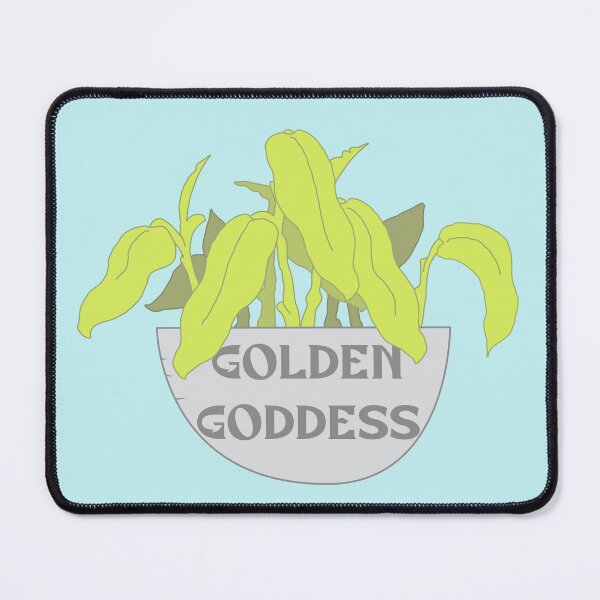 Item preview, Golden Goddess Philodendron House Plant designed and sold by Punderstandable.