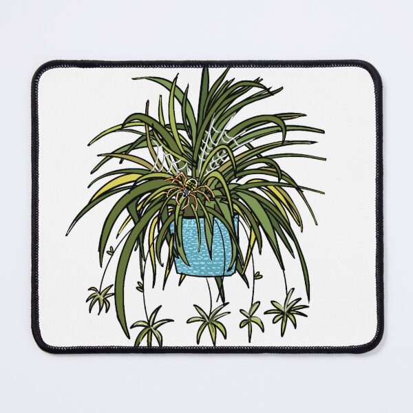 Item preview, Spider in a Spider Plant designed and sold by M.Greenlund Content.
