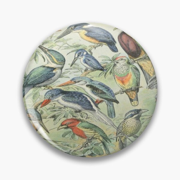 Item preview, Adolphe Millot Oiseaux D - Vintage Birds Illustration  designed and sold by molamode.