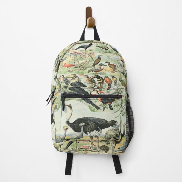 Item preview, Adolphe Millot Oiseaux D - Vintage Birds Illustration  designed and sold by molamode.