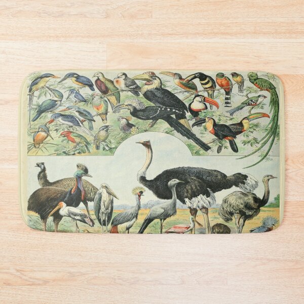 Item preview, Adolphe Millot Oiseaux D - Vintage Birds Illustration  designed and sold by molamode.